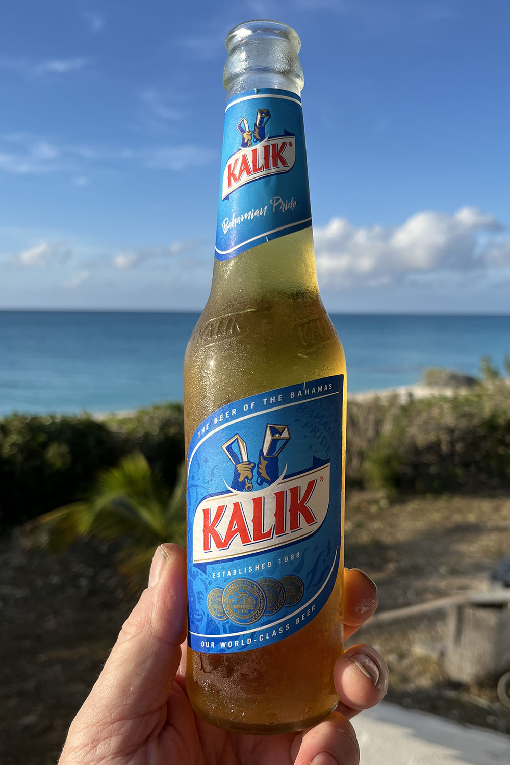 Kalik, The Beer of the Bahamas